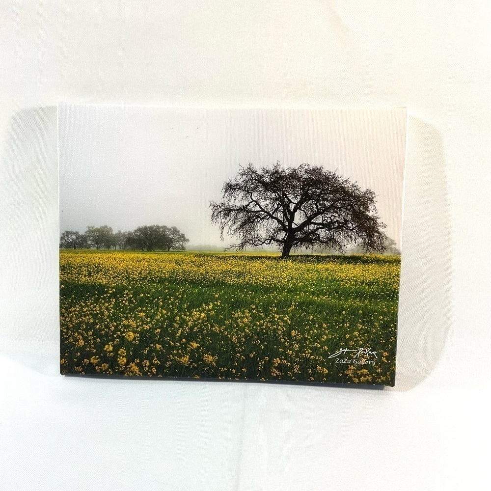 Fog Oak Tree Canvas Art Farmhouse Prairie Wall Decor
